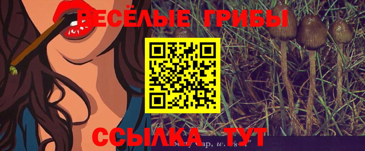 Галлюциногенные грибы ЛСД  Вход с VPN  Галлюциногенные грибы Cubensis  Черногорск 